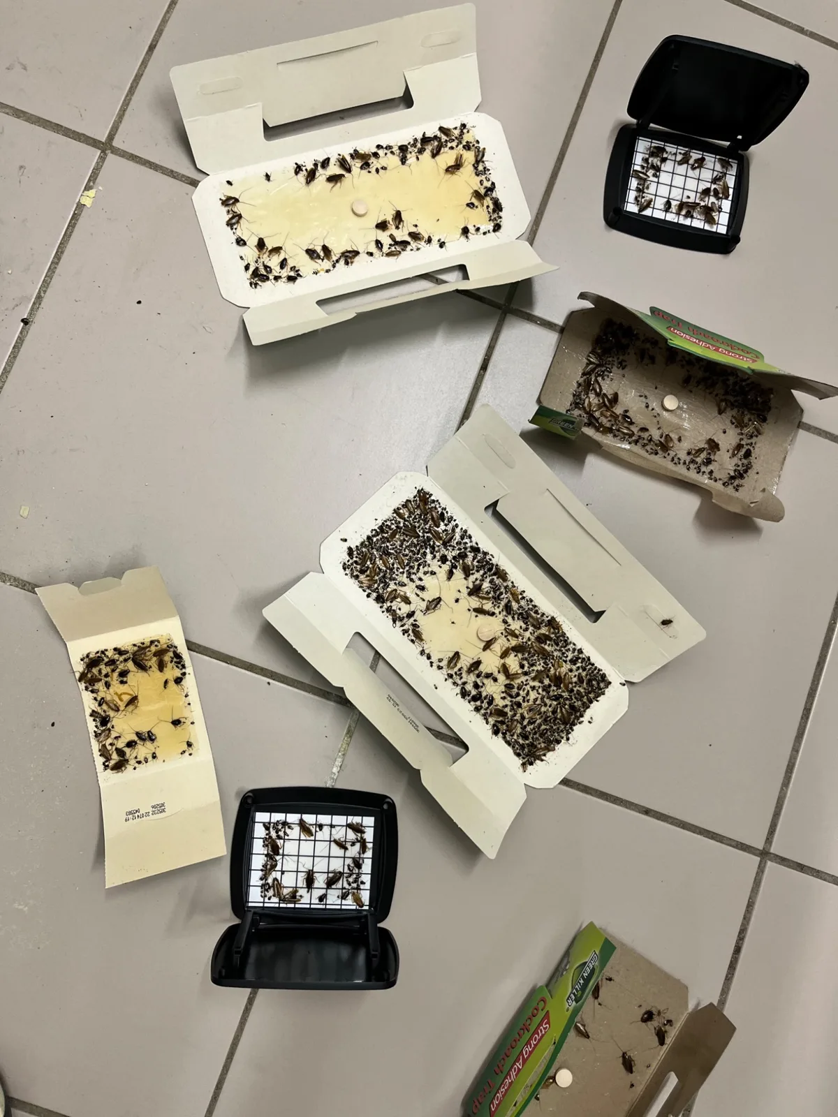 Je compare plusieurs dispositifs pour comprendre la répartition des captures.