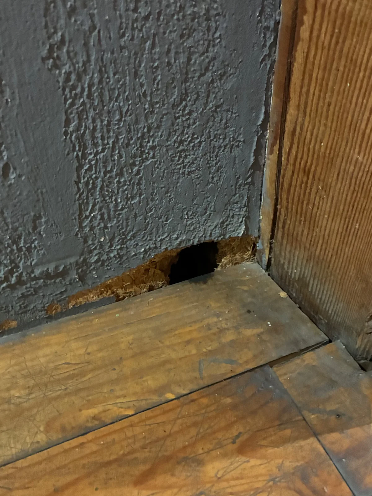 Je recherche les ouvertures et les dégradations à examiner dans les boiseries.