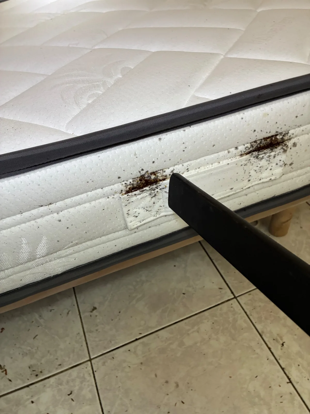 J’aspire les foyers repérés sur un matelas lors de mon intervention à Salon-de-Provence