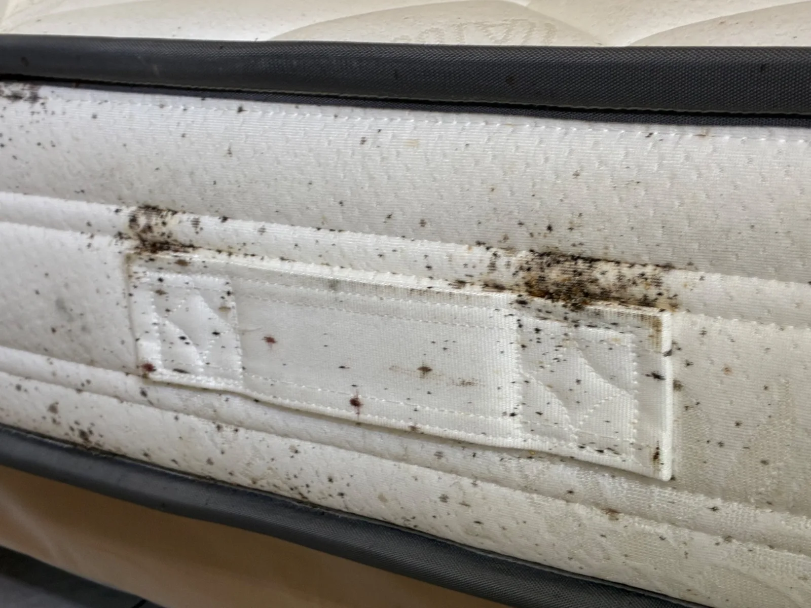 Je recherche les regroupements de traces autour des poignées et des coutures.
