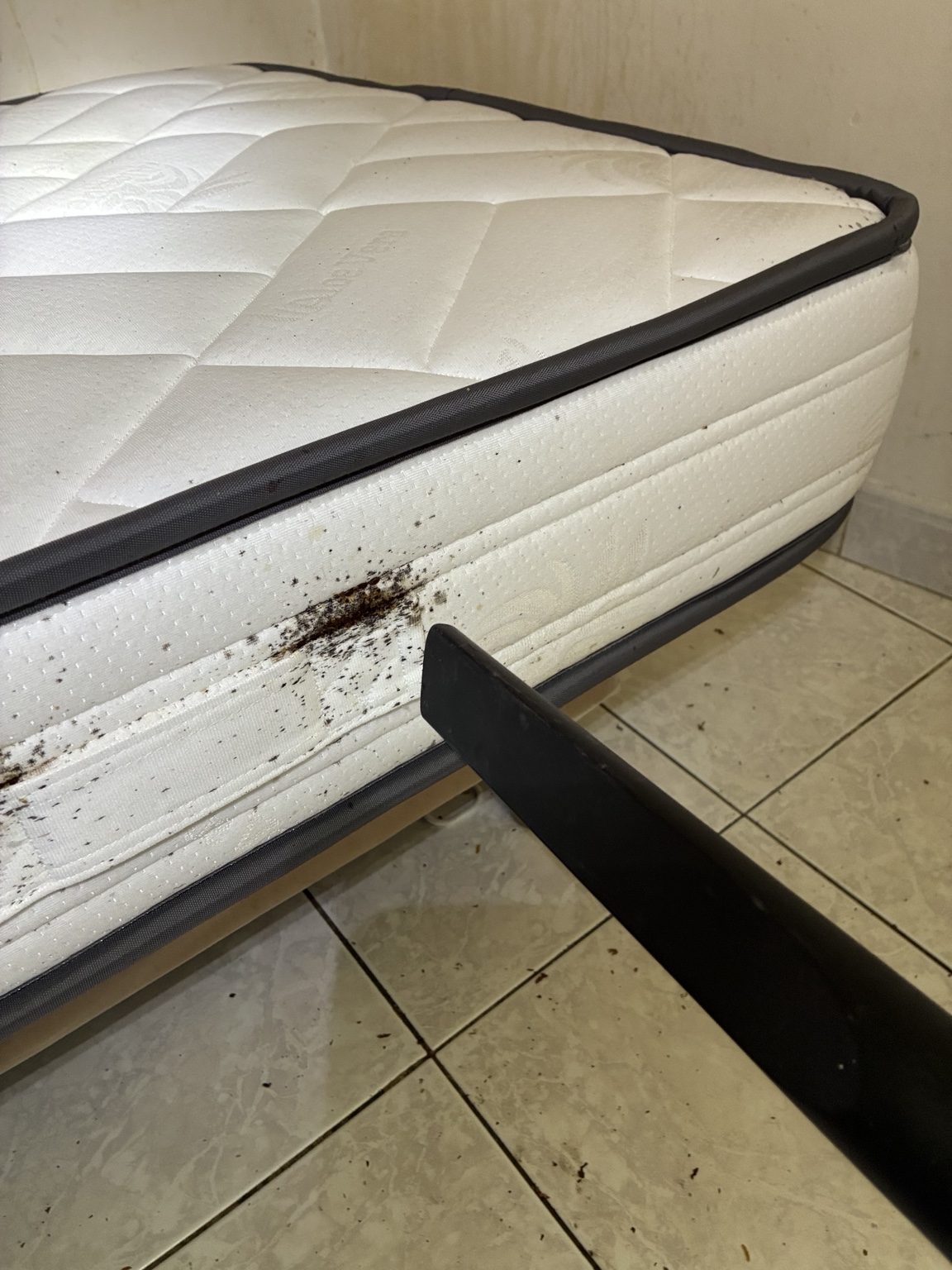 Aspiration ciblée sur les zones infestées du matelas.