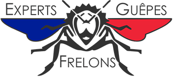 Logo Experts Guêpes & Frelons